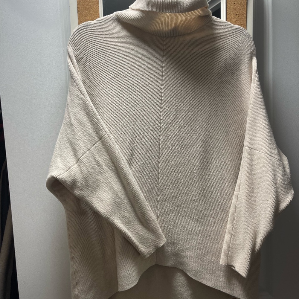 Blogger turtleneck!